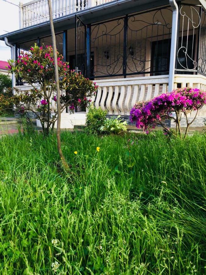 Apartment Near The Sea 1 コブレチ エクステリア 写真